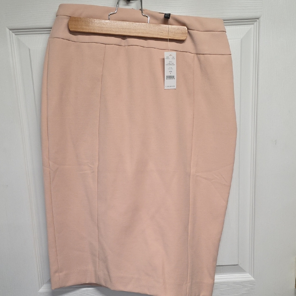 Chic Blush Pencil Skirt